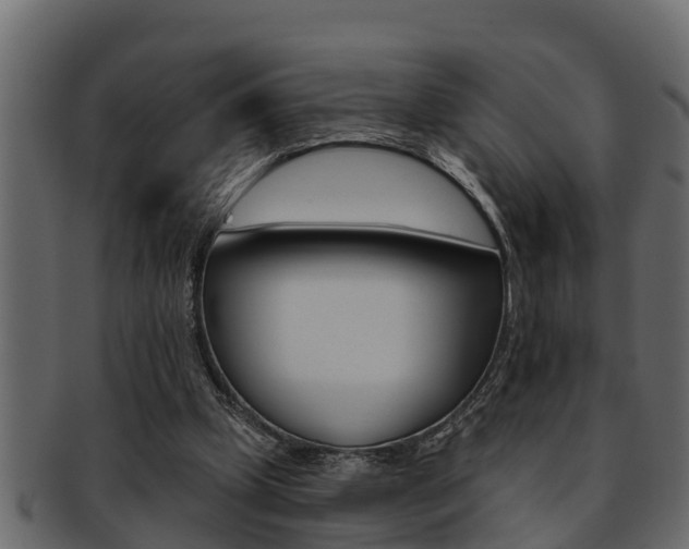 X0000093220249200709261452