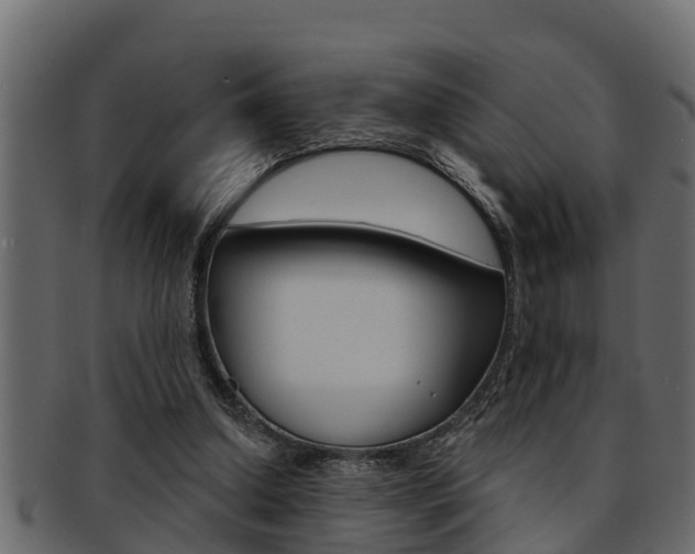 X0000093220250200709261452