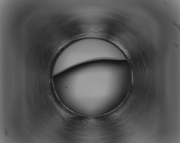 X0000093220253200709261452