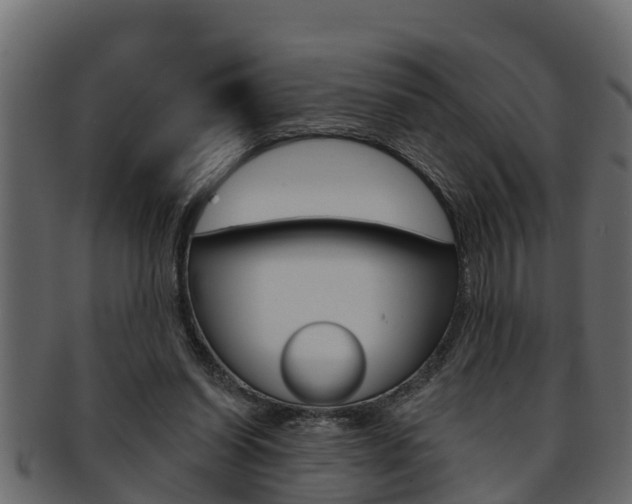 X0000093220254200709261452