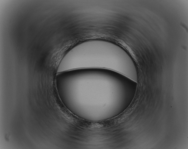 X0000093220257200709261452