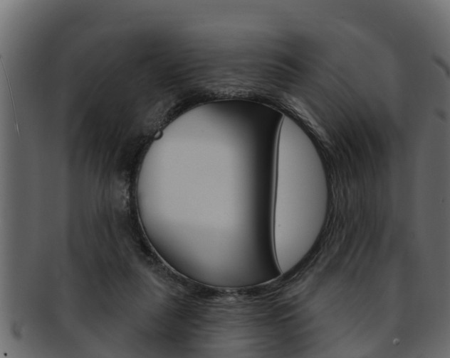 X0000093220259200709261452