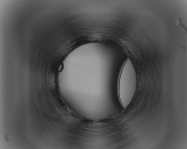X0000093220267200709261452