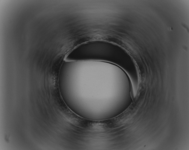 X0000093220268200709261452
