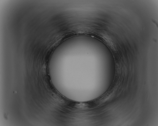 X0000093220269200709261452