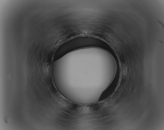 X0000093220276200709261452