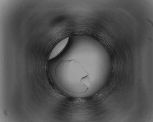 X0000093220278200709261452