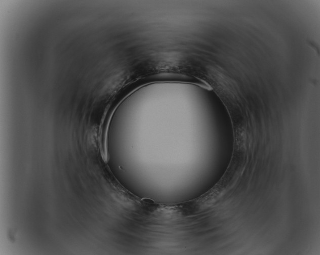 X0000093220280200709261452