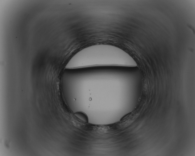 X0000093220282200709261452