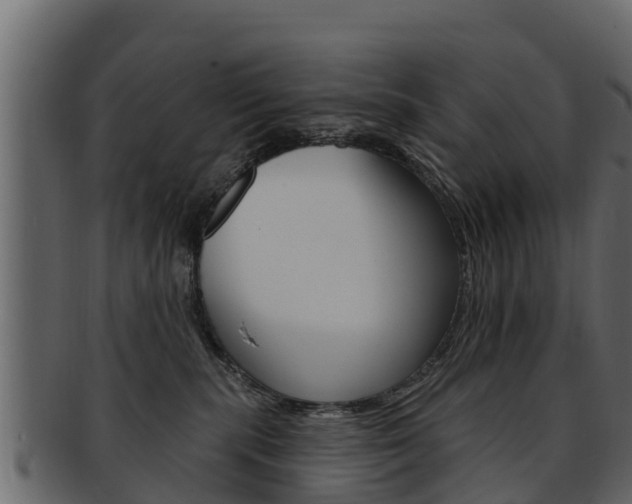 X0000093220283200709261452