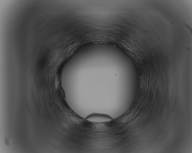 X0000093220287200709261452
