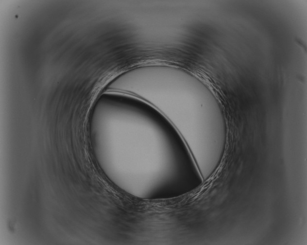 X0000093220289200709261451