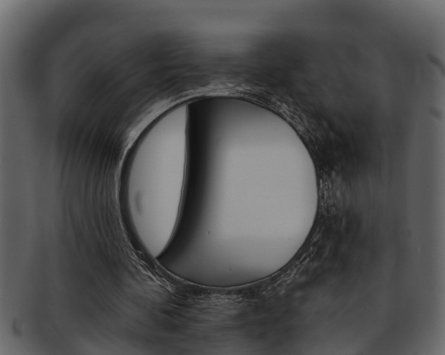 X0000093220292200709261451