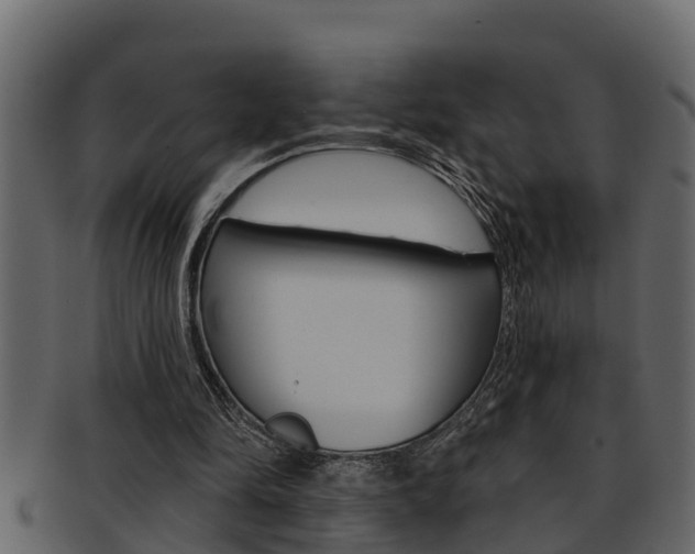 X0000093220294200709261451