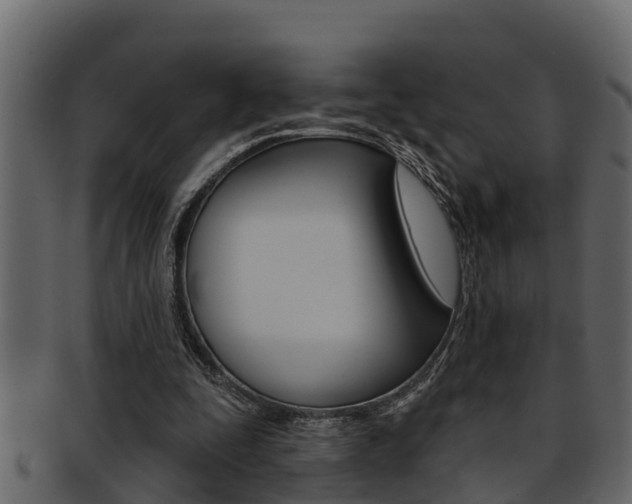 X0000093220295200709261451