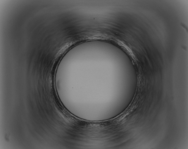 X0000093220298200709261451