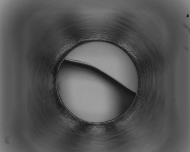 X0000093220303200709261451