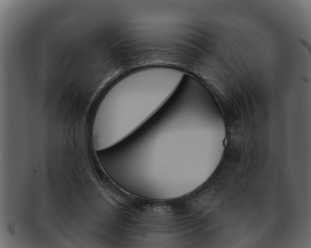 X0000093220304200709261451
