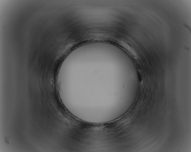 X0000093220306200709261451