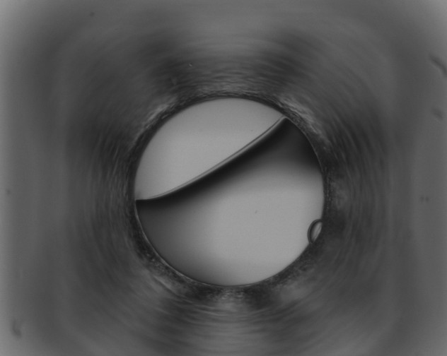 X0000093220308200709261451