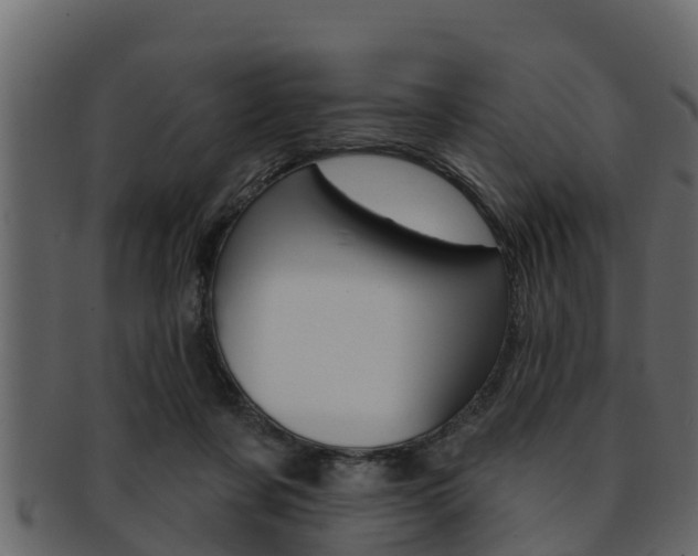 X0000093220311200709261451