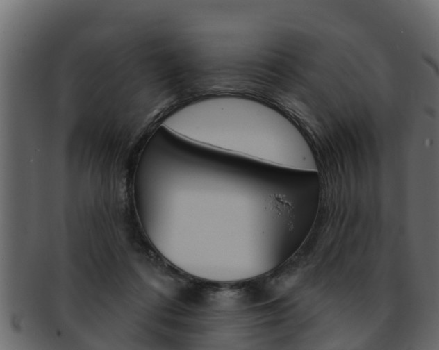 X0000093220312200709261451