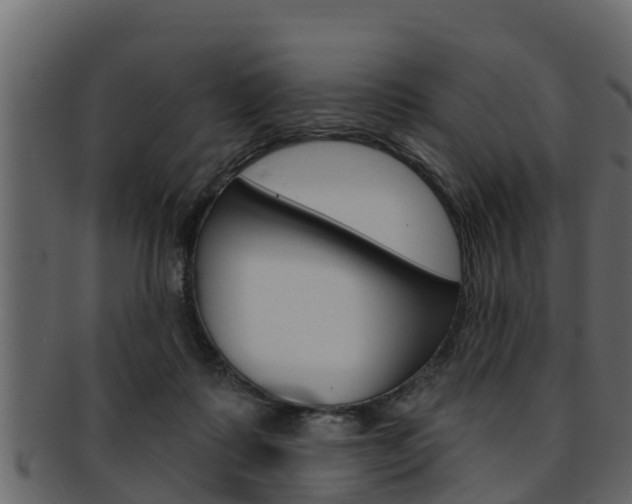 X0000093220315200709261451