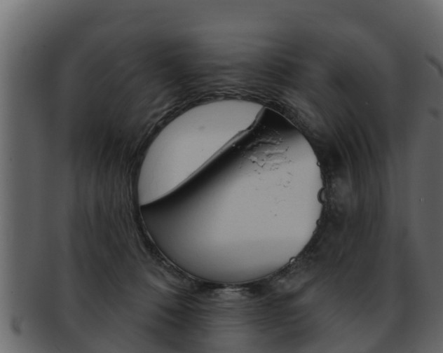 X0000093220320200709261451