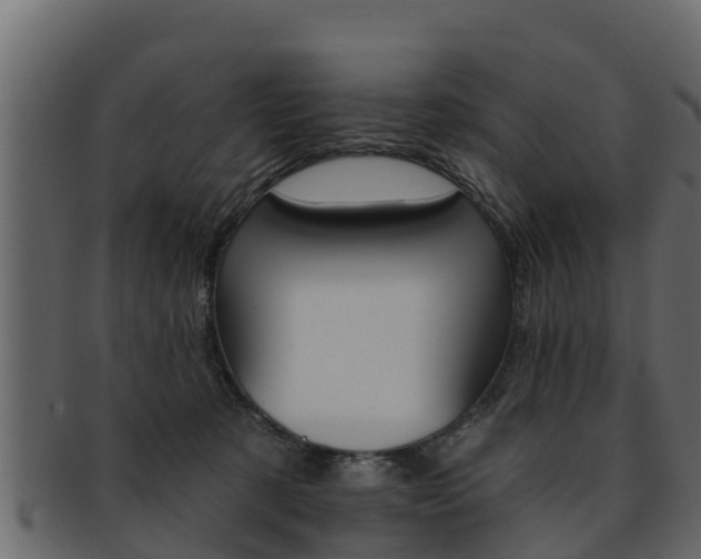X0000093220321200709261451