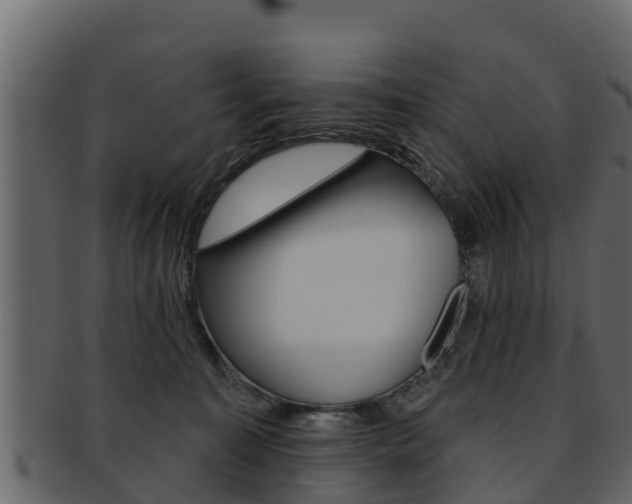 X0000093220323200709261451