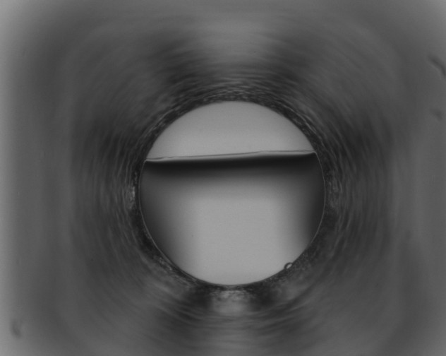 X0000093220324200709261451