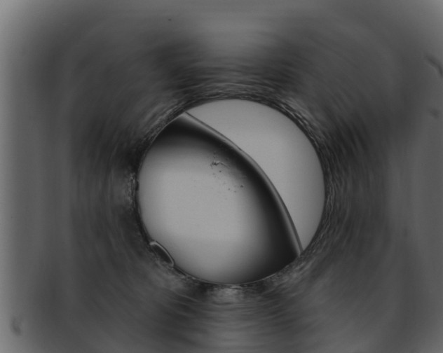 X0000093220325200709261451