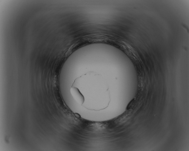 X0000093220326200709261451