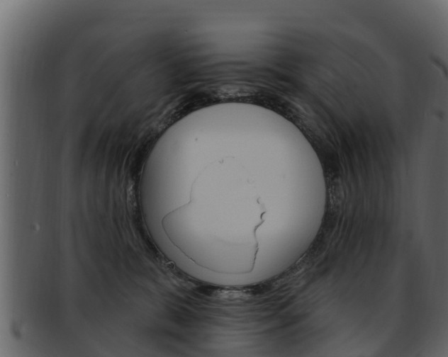 X0000093220327200709261451