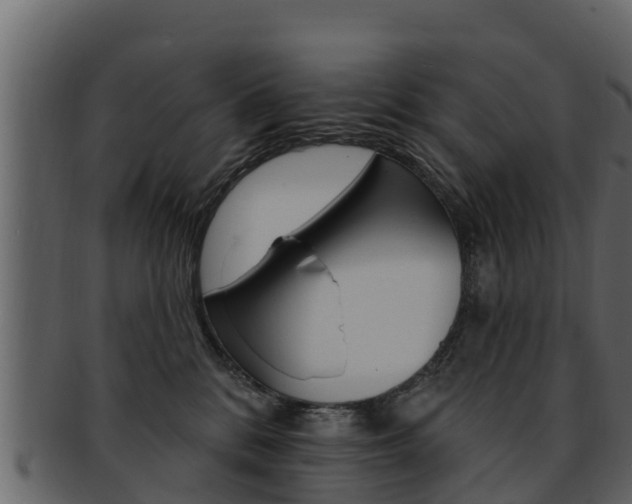 X0000093220328200709261451