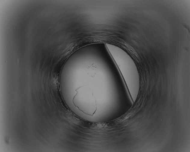 X0000093220329200709261451