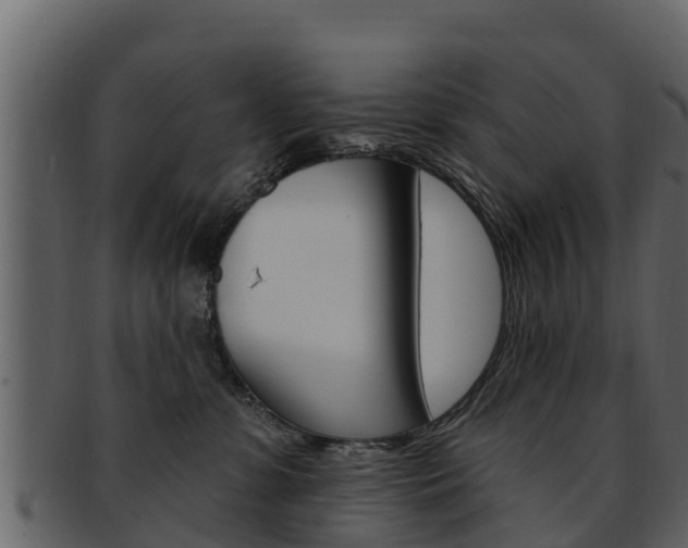 X0000093220331200709261451