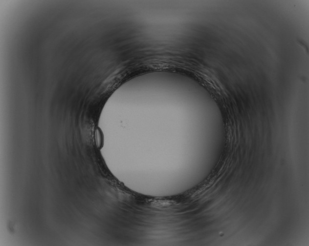 X0000093220332200709261451