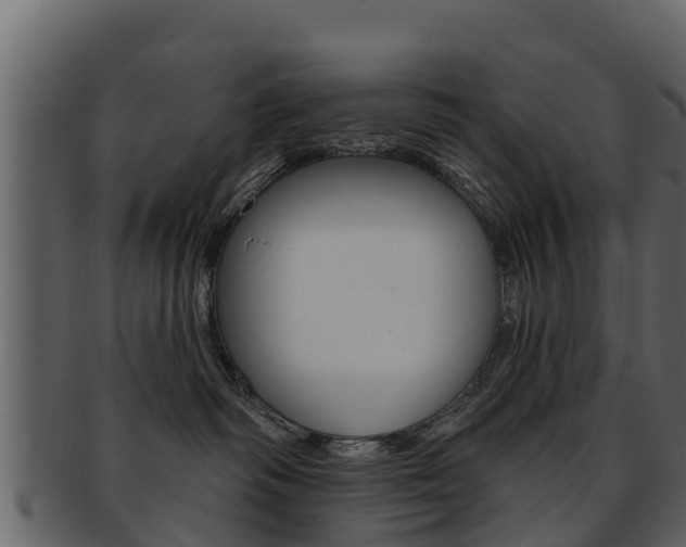 X0000093220334200709261451
