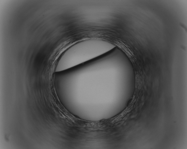 X0000093220338200709261450