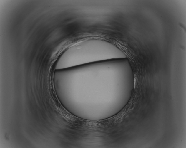 X0000093220339200709261450