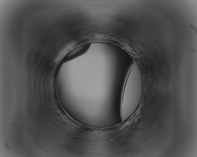 X0000093220341200709261450