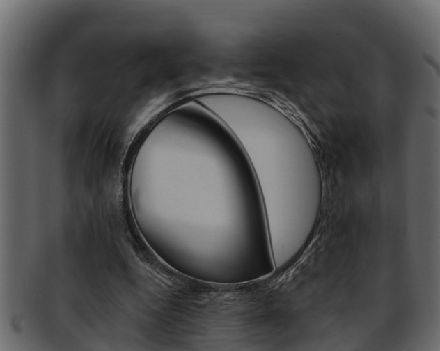X0000093220344200709261450