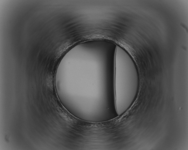 X0000093220345200709261450