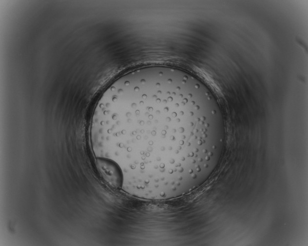 X0000093220346200709261450
