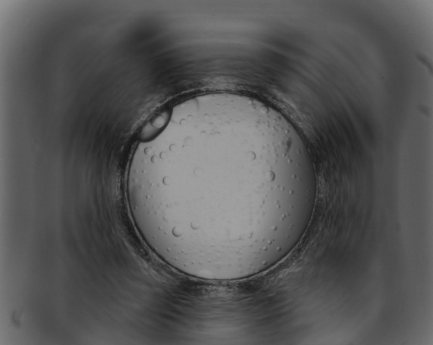 X0000093220347200709261450