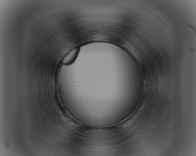 X0000093220349200709261450