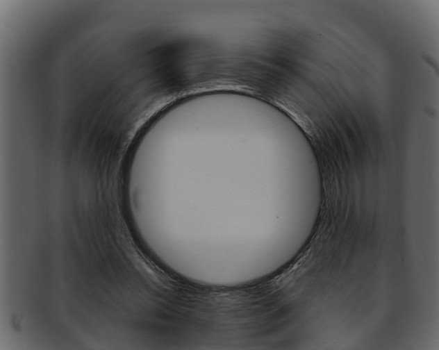 X0000093220350200709261450
