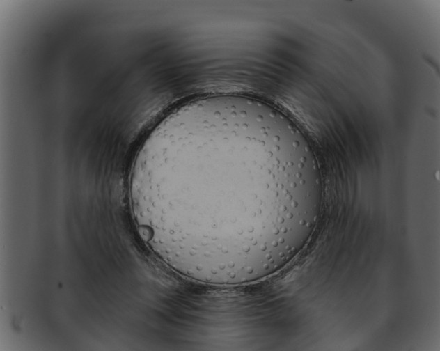 X0000093220351200709261450