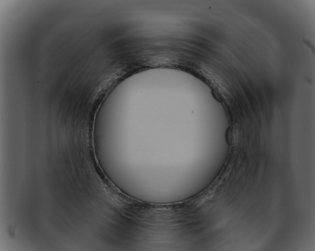 X0000093220353200709261450